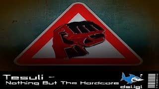 Nothin' But The Hardcore - Dj Tesuli