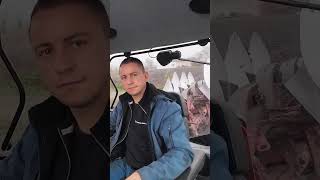 New Holland T6.160 i UNIA IBIS - jedziemy orać! #shorts