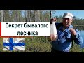 Татьяна. Секрет бывалого лесника. #Морошка2020 ч.1