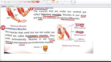 SCIENCE | 5th class | chapter 3 | skeleton and muscular system | part 4 |