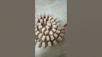 Domino