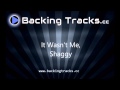It Wasn’t Me - Shaggy