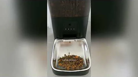 Surprise from Temu #Temu