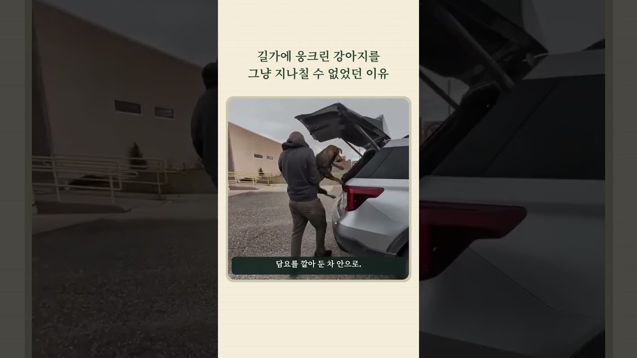 길가에 웅크린 강아지를 그냥 지나칠 수 없었던 이유