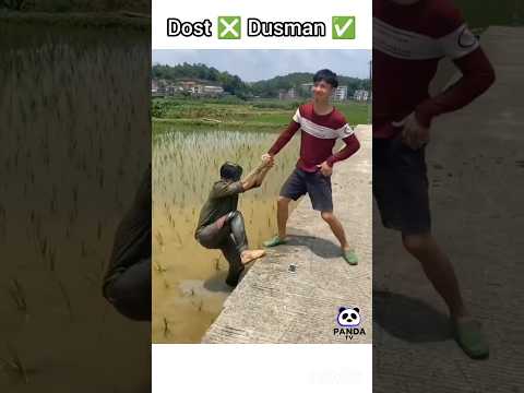 dost ❎ Dusman 😂✅ | #shortvideo