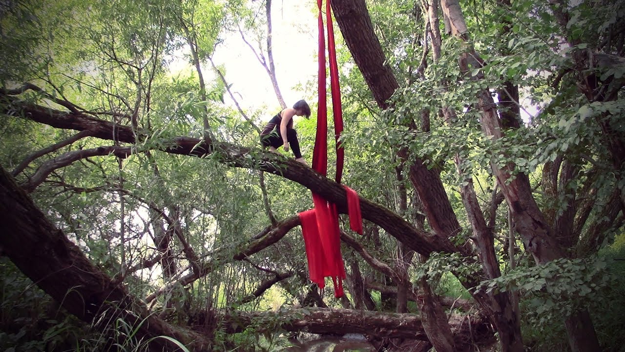Aerial Silks in the Trees YouTube