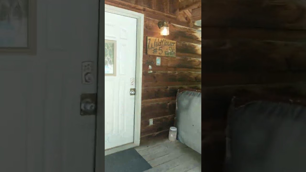 Bear Tracks Wildflower cabin #5