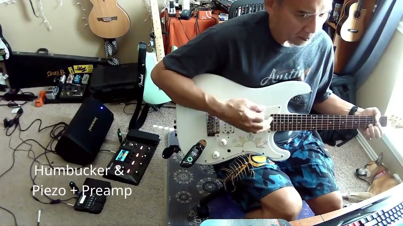 My Fake PRS SE 24 Piezo