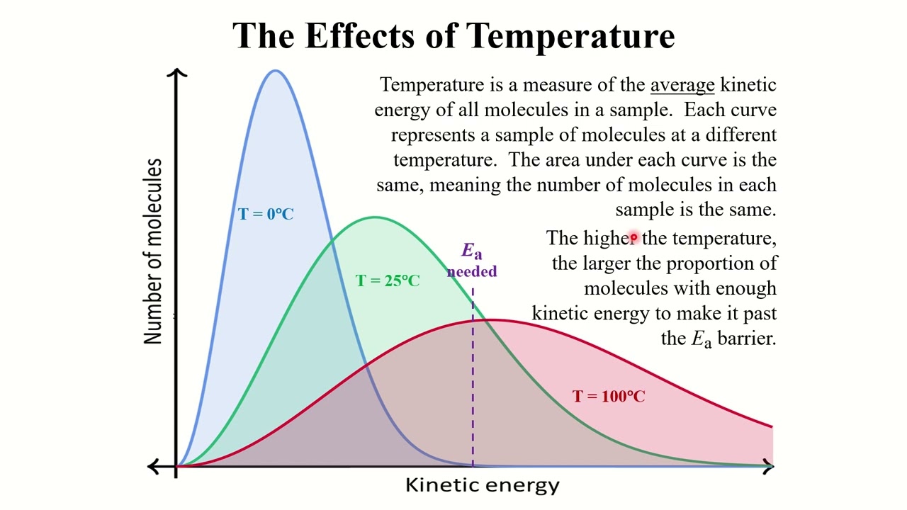 General Chemistry 2 - Kinetics - Collision Theory, Ea, Catalysts, Reaction Mechanisms (Lecture 9)