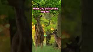 God Sees It All 👀 | When Someone With Power Crosses the Line (David & Bathsheba)