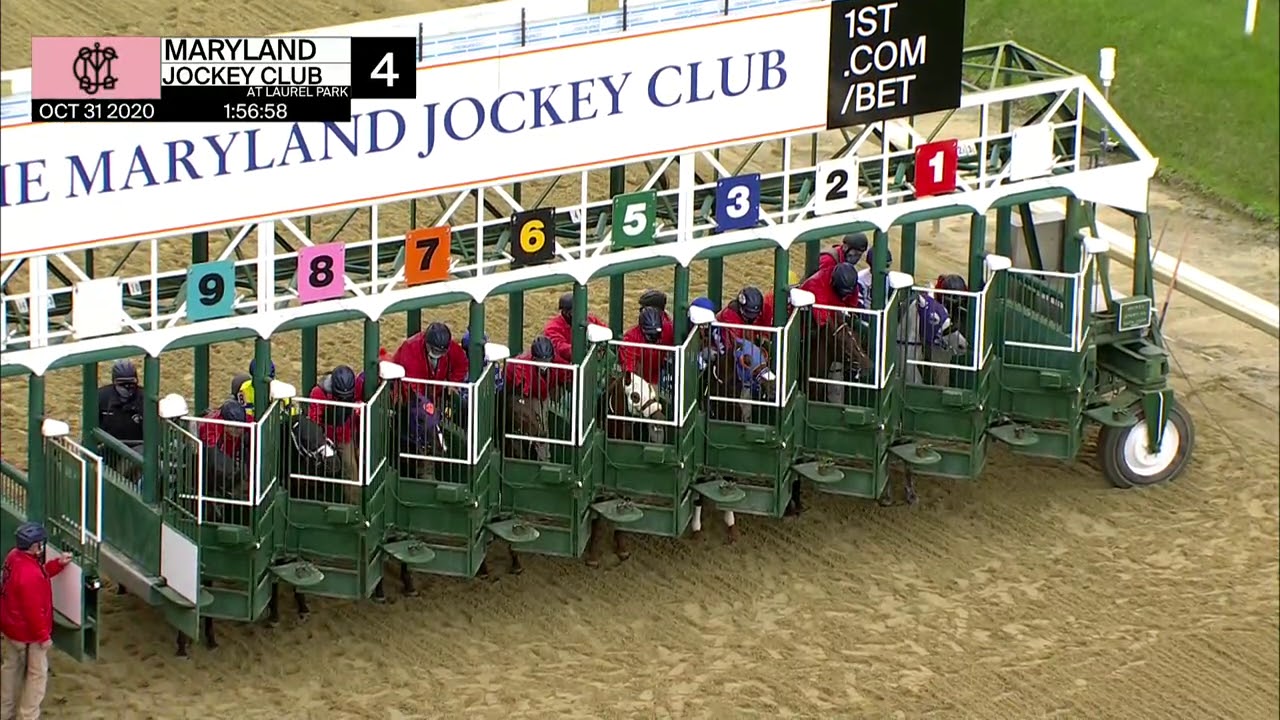 tvg laurel park