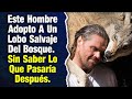 Este Hombre Adopto A Un Lobo Salvaje Del Bosque. Sin Saber Lo Que Pasaría Después.