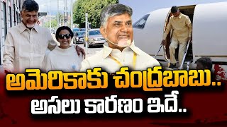 అమెరికాకు చంద్రబాబు.. కారణం ఇదే..! | Reason Behind Chandrababu America Tour | #SumanTVDaily