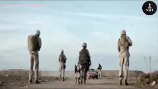 MEGAN LEAVEY Official Trailer 2017 New Movies Trailers   YouTube Net Worth