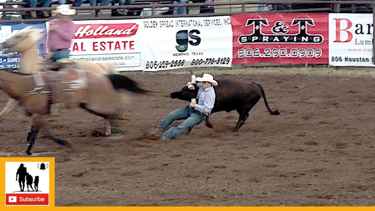 Steer Wrestling - 2023 Wellington Pro Rodeo | Friday