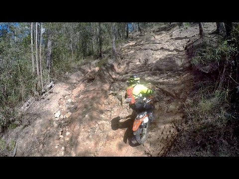 SUPPORTERS: BEST KNOBBIES & THE HOLY GRAIL Cross Training Enduro - SUPPORTERS: BEST KNOBBIES & THE HOLY GRAIL Cross Training Enduro