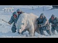Nomads Faced The Biggest Bear In Yakutia A Final Battle For Survival At 71 C 