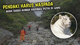 Suara Auman Terekam! Suara Auman Harimau Disinyalir Legenda Macan Putih Gunung Lawu