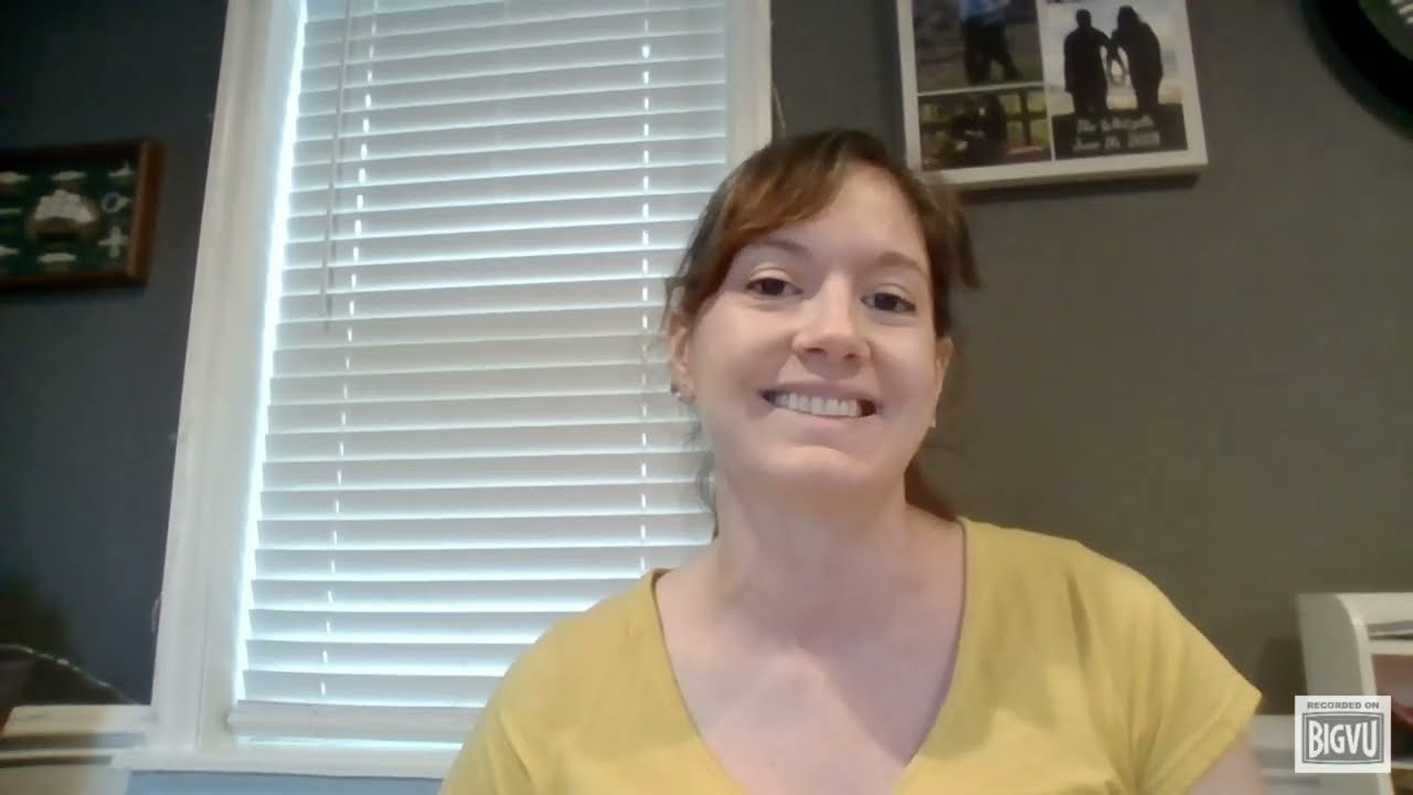 Video 2 Pattern Blocks