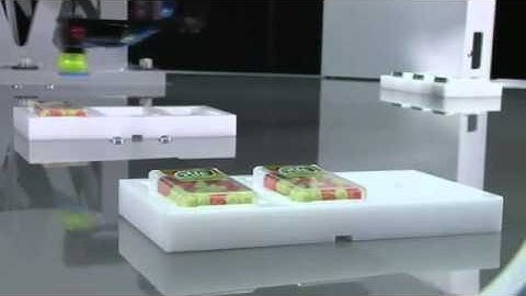 Stäubli TP80 Fast Picker robot