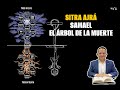 TRABAJO ESPIRITUAL DE TISHA BEAV 5782 - ENTRANDO AL DIA AL DOMINIO DEL ÁNGEL SAMAEL.