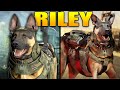 The Full Story of Riley (Modern Warfare Story)