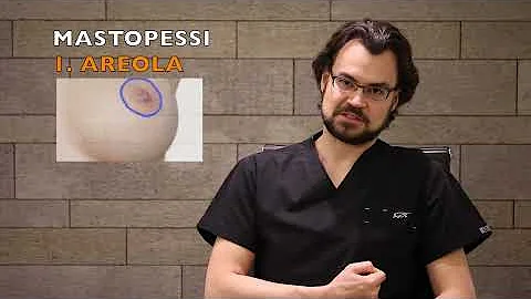 Quanto costa un lifting al seno?
