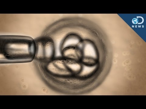 Video: An American Geneticist Has Cloned A Human. Scientists Around The World Condemn The Experimenter. - Alternative View