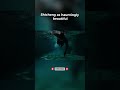 The Underwater City of Shicheng  China’s Lost Lion City | The Drowned City Frozen in Time