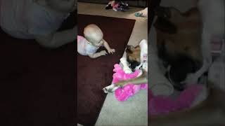 BABY LOVE HIS DOG