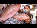 Buy Red Ocean Fish From The Market - Yummy Ocean Fish Frying Chili Sauce Recipe -  Cooking With Sros