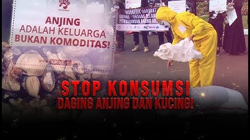 Garis Batas: Stop Konsumsi Daging Anjing dan Kucing! | tvOne