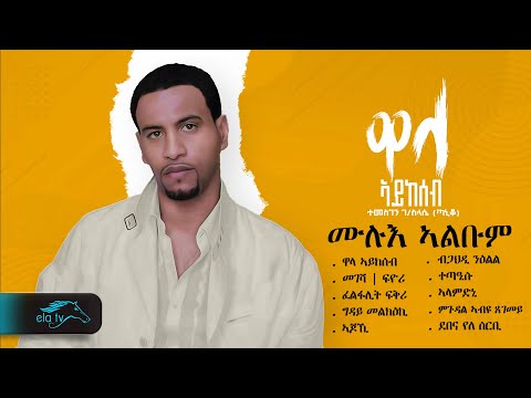 ela tv - Temesgen G/selassie  - Taniqo - Wala Aykeseb - Vol 1 - ሙሉእ ኣልቡም - 1 Hour - Relaxing Video