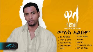 ela tv  Temesgen G/selassie   Taniqo  Wala Aykeseb  Vol 1  ሙሉእ ኣልቡም  1 Hour  Relaxing Video