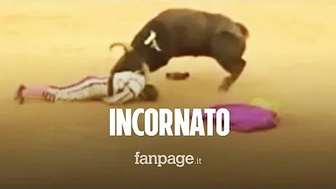 Come viene ucciso il toro nella corrida?