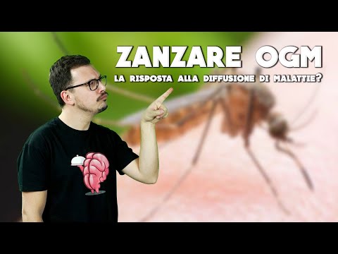 Video: Resistenza Agli Insetticidi Nelle Zanzare Che Trasmettono La Malaria Nello Zimbabwe: Una Revisione