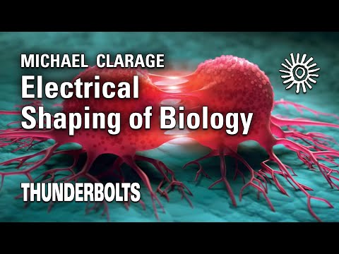 Michael Clarage: Electrical Shaping of Biology | Thunderbolts