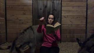 Donkey Storytime - Ralph S. Mouse Part 9 (The final chapter!)
