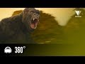 Experience KONG SKULL ISLAND In 360!