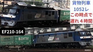 4時間以上遅れてきた貨物列車1052レ EF210桃太郎が加速していく EF210-164 20240523 #ef210桃太郎 #ef210 #ef210旧塗装 #ef210100番台 #貨物列車