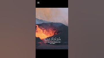 سورة الواقعة ٧١-٧٤ #القران_الكريم #القران #قران #Quran