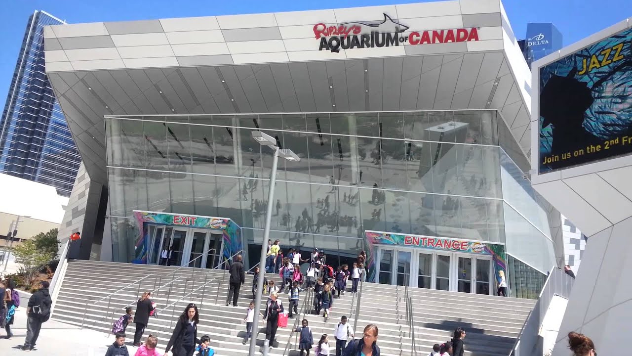 Ripley's Aquarium from Outside - YouTube