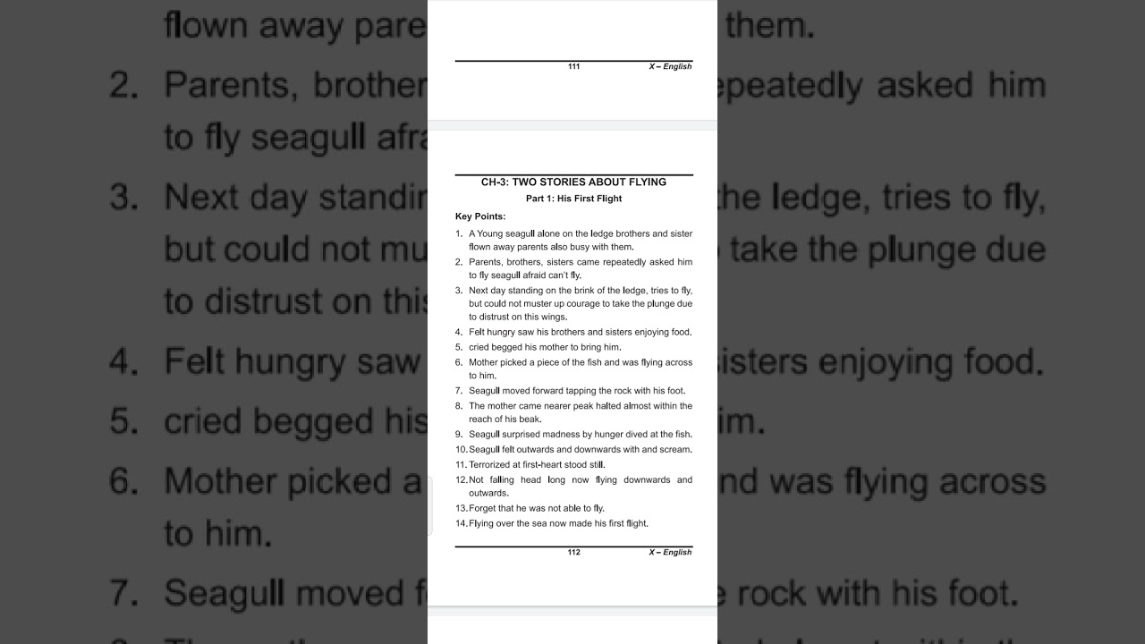 Class 10th English Chapter 3 His first Flight most important point summary 