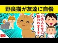 野良猫が飼われることを友達に自慢した結果www