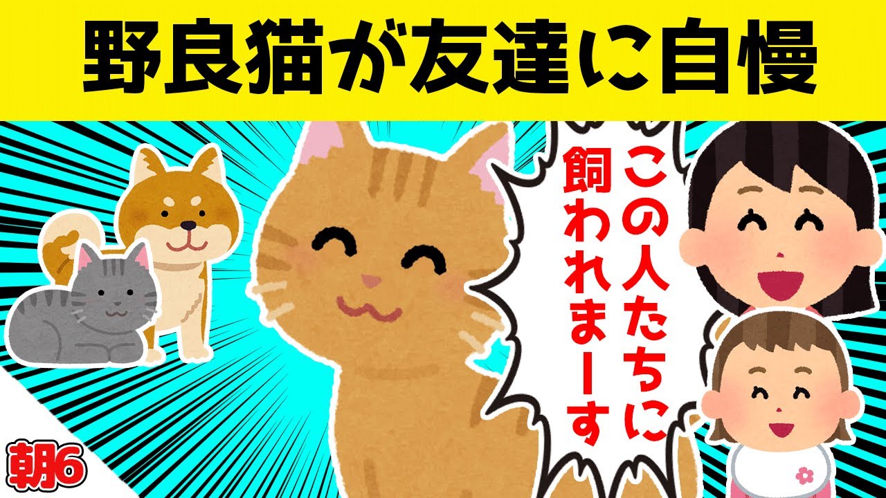 野良猫が飼われることを友達に自慢した結果ｗｗｗ