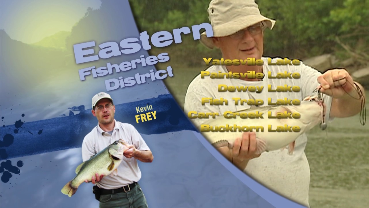 radioactive Fishing Report - July 29, 2017