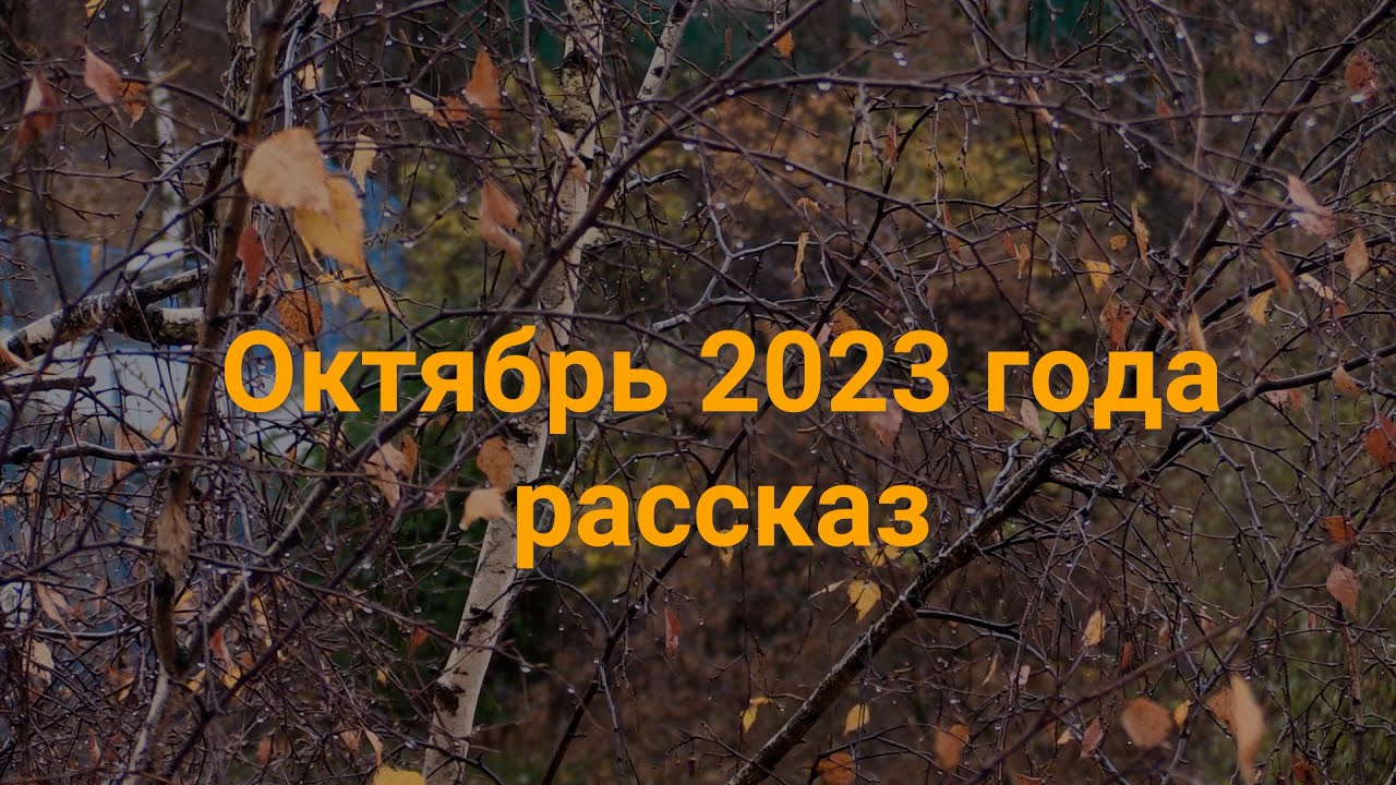 Месяц октябрь 2023 года. Октябрь 2023г. Октябрь 2023 года. Осень 2023. Альманах в осеннюю пору.