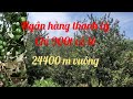 122ngn hng thanh l 244 ha siu r ch 380 t  ha ta lc qung trc tuy c c nng