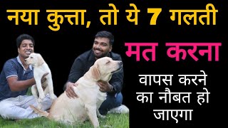 New puppy care tips and care mistake  // Lab puppy going to new home patna, bihar, muzaffarpur