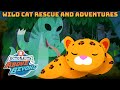 Octonauts above  beyond   wild cat rescue and adventures   compilation octonautsandfriends